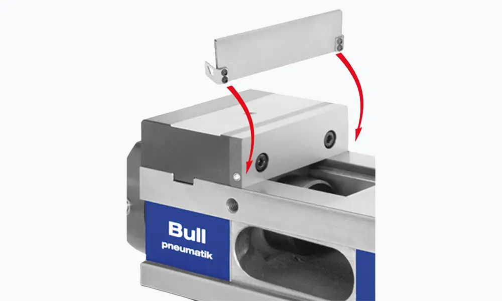 Bull P Image Detail
